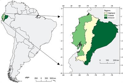 Climate variability and change in Ecuador: dynamic downscaling of regional projections with RegCM4 and HadGEM2-ES for informed adaptation strategies